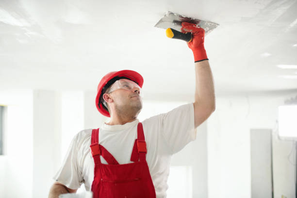Best Air Quality Testing for Mold Spores  in Lake Grove, NY