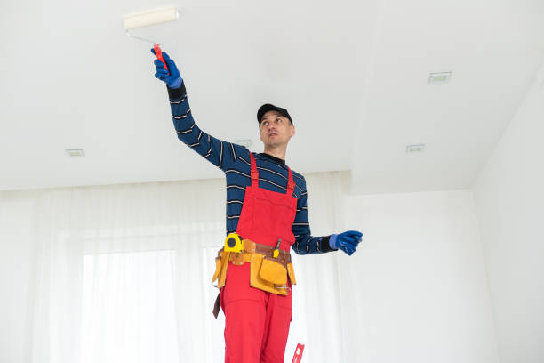 Best Forensic Mold Investigation  in Lake Grove, NY
