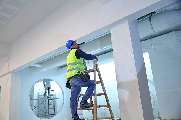Professional Mold Removal in Lake Grove, NY
